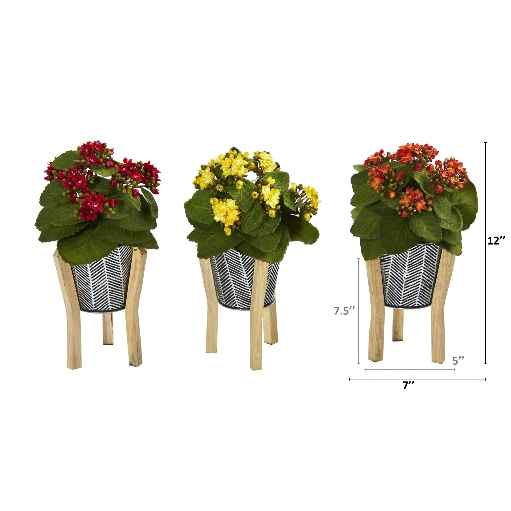 12” Kalanchoe Plant in Tin Planter with Legs (Set of 3)