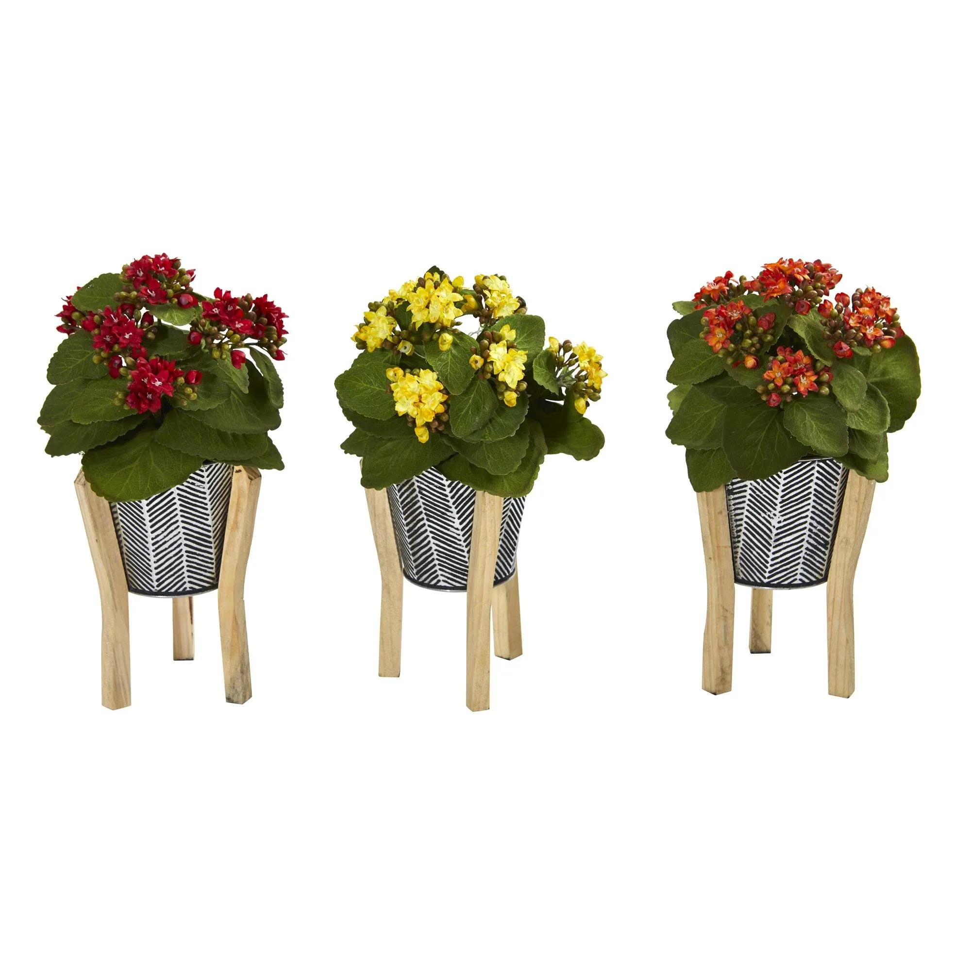 12” Kalanchoe Plant in Tin Planter with Legs (Set of 3)