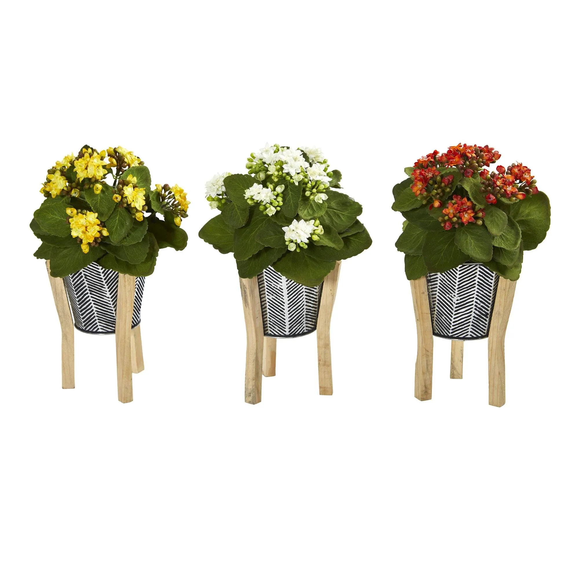 12” Kalanchoe Plant in Tin Planter with Legs (Set of 3)