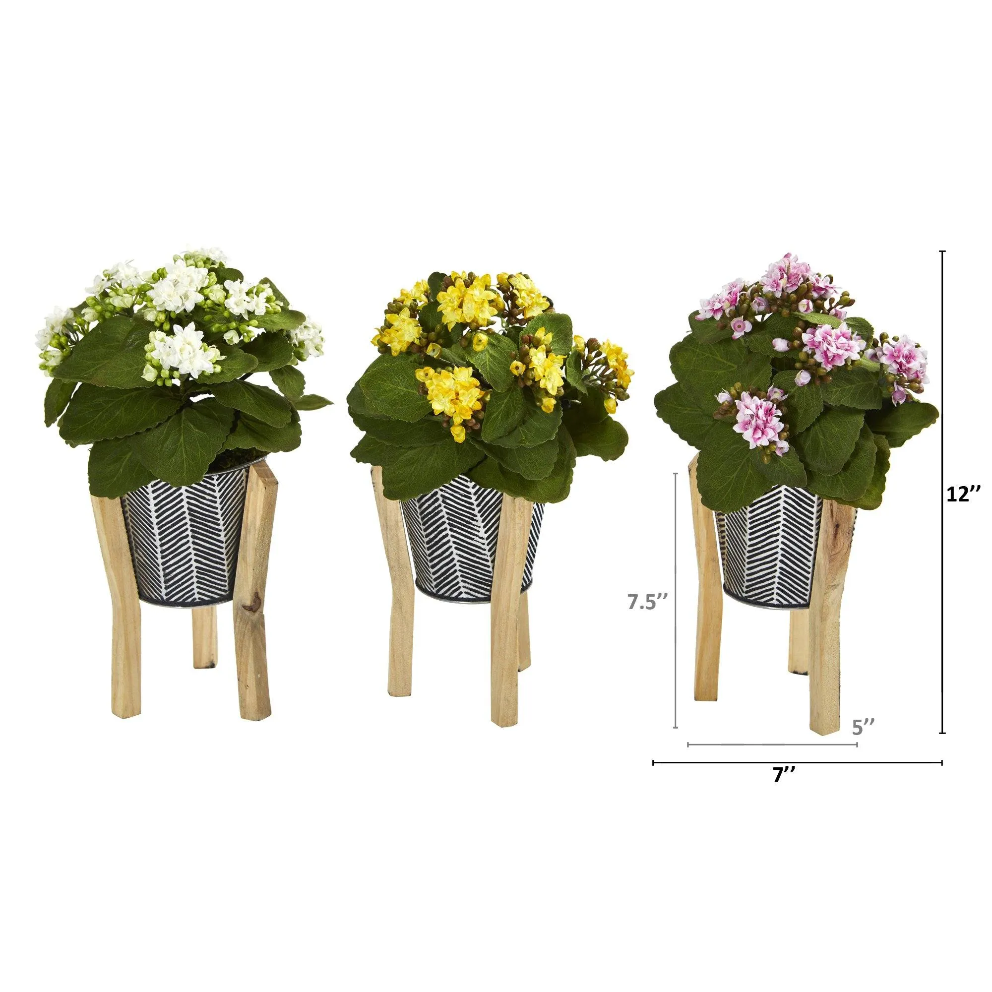 12” Kalanchoe Plant in Tin Planter with Legs (Set of 3)