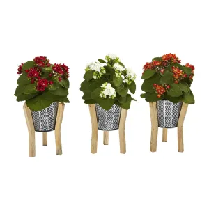 12” Kalanchoe Plant in Tin Planter with Legs (Set of 3)