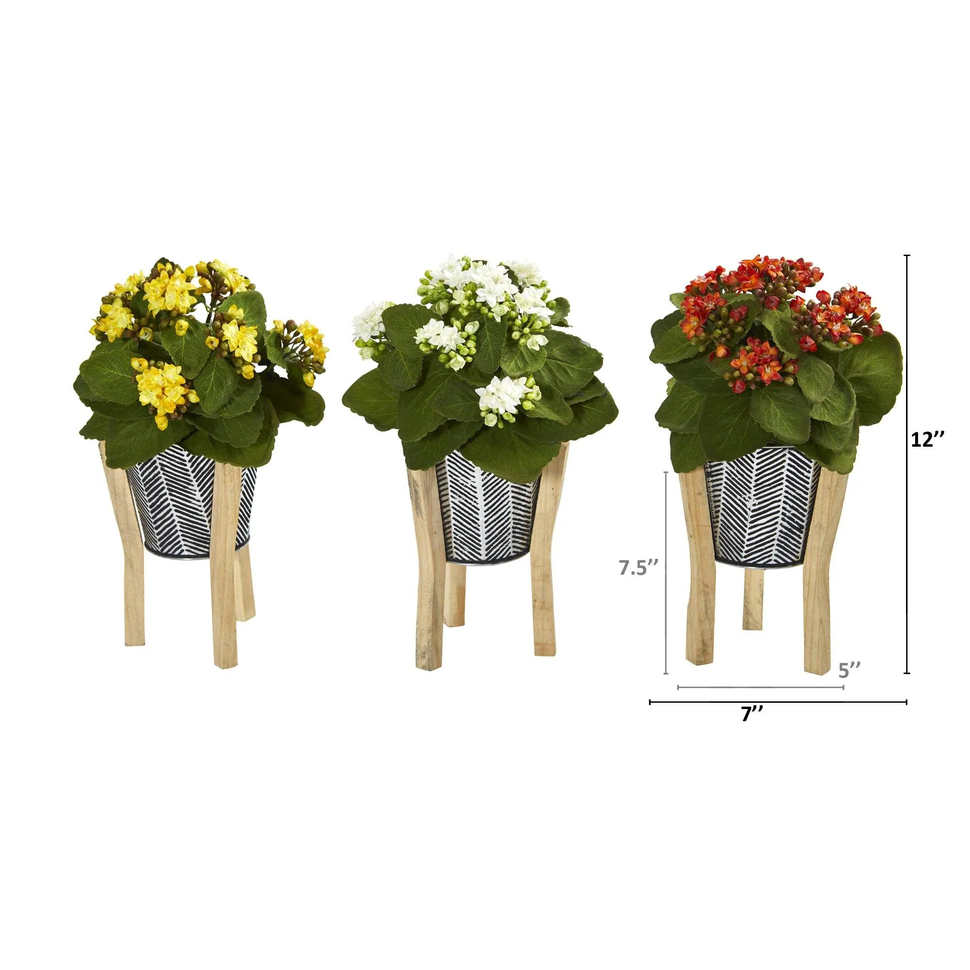 12” Kalanchoe Plant in Tin Planter with Legs (Set of 3)