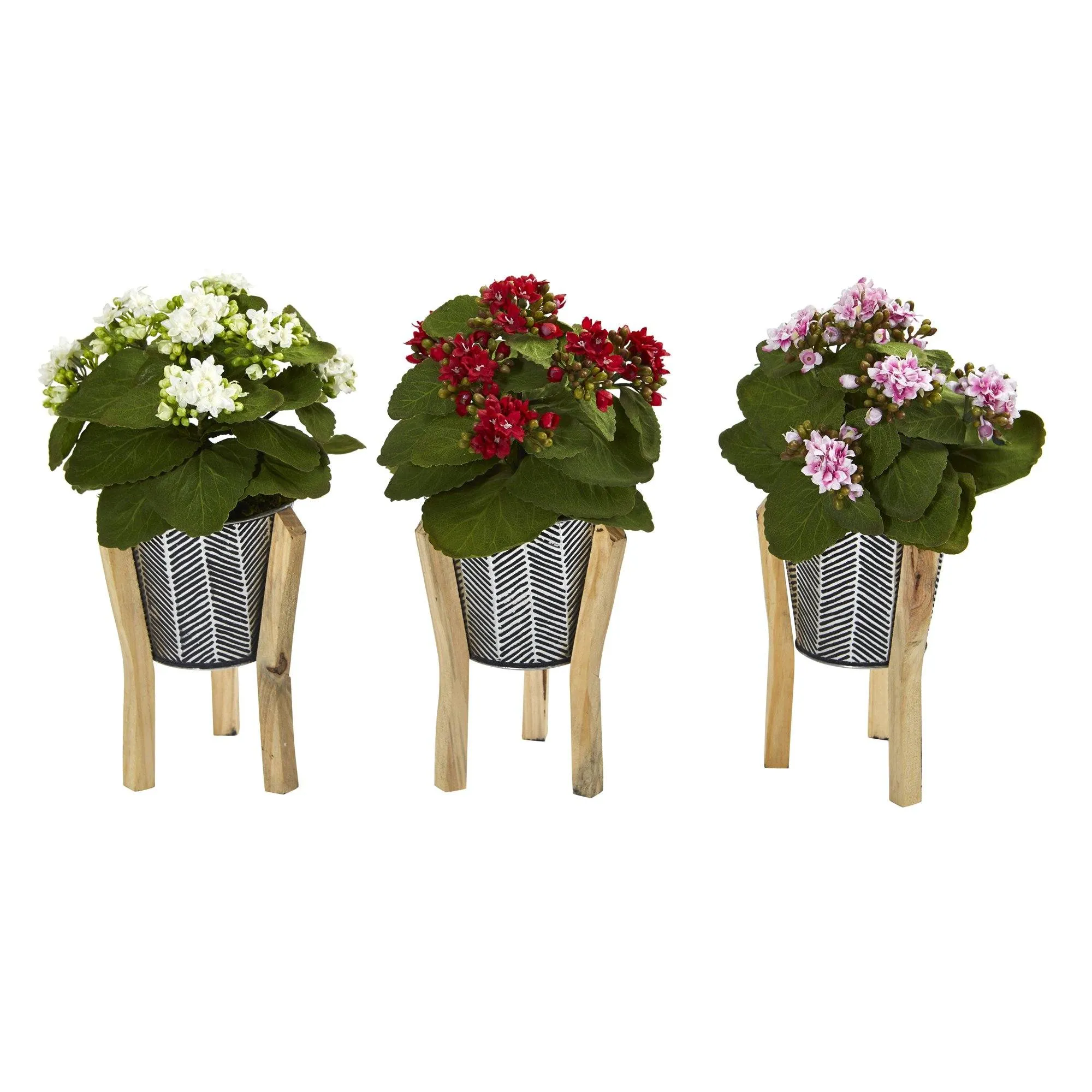 12” Kalanchoe Plant in Tin Planter with Legs (Set of 3)