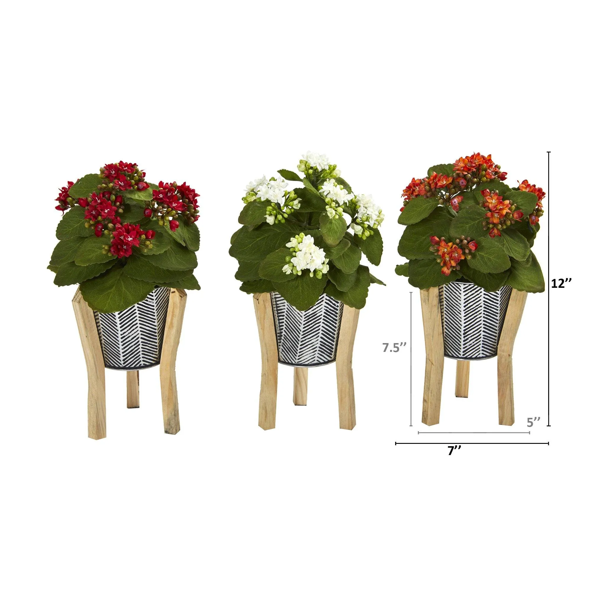 12” Kalanchoe Plant in Tin Planter with Legs (Set of 3)