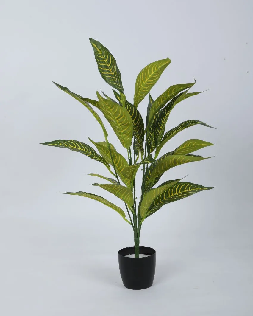 Alli Artificial Croton Plant For Home Décor With Black Pot | 2.3 feet