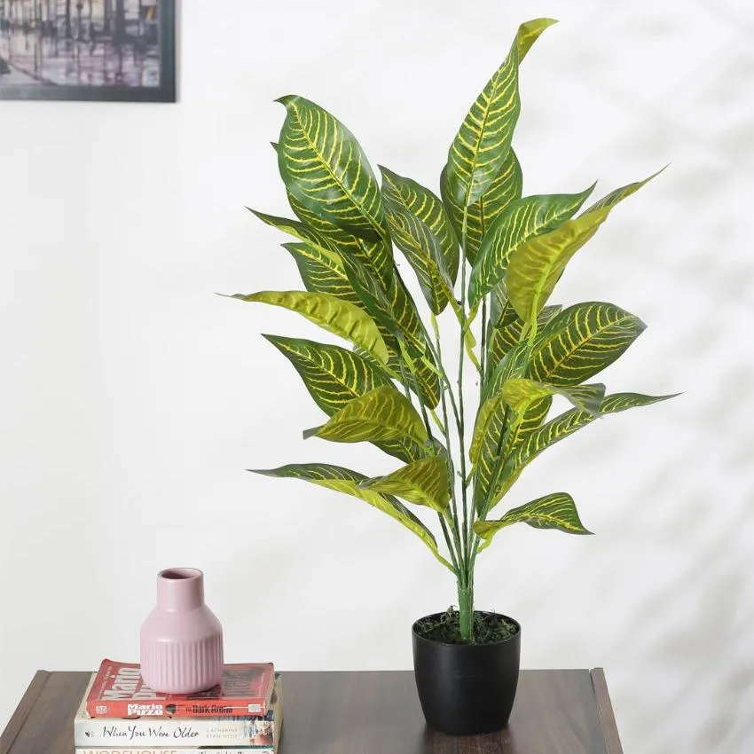 Alli Artificial Croton Plant For Home Décor With Black Pot | 2.3 feet