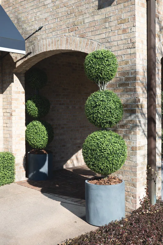 Boxwood Ball Triple Topiary 72"H