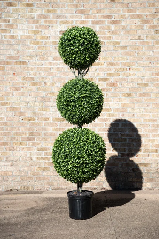 Boxwood Ball Triple Topiary 72"H