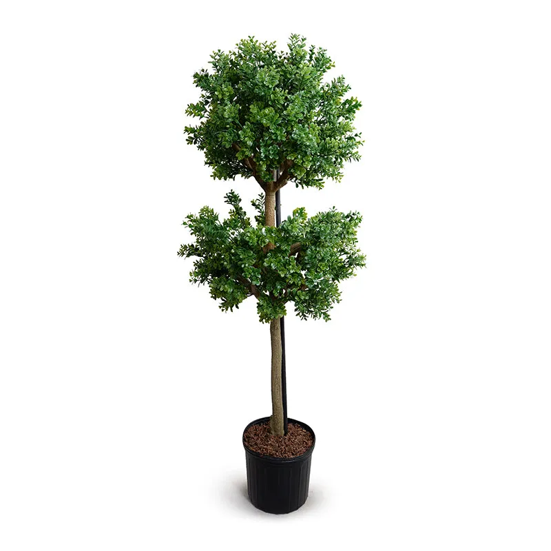 Boxwood Branch Topiary