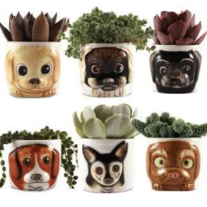 Cat Planter Pot - 6 Mini Succulent Kitty Pots - Cute Flower Pots For Indoor Plants - Cat