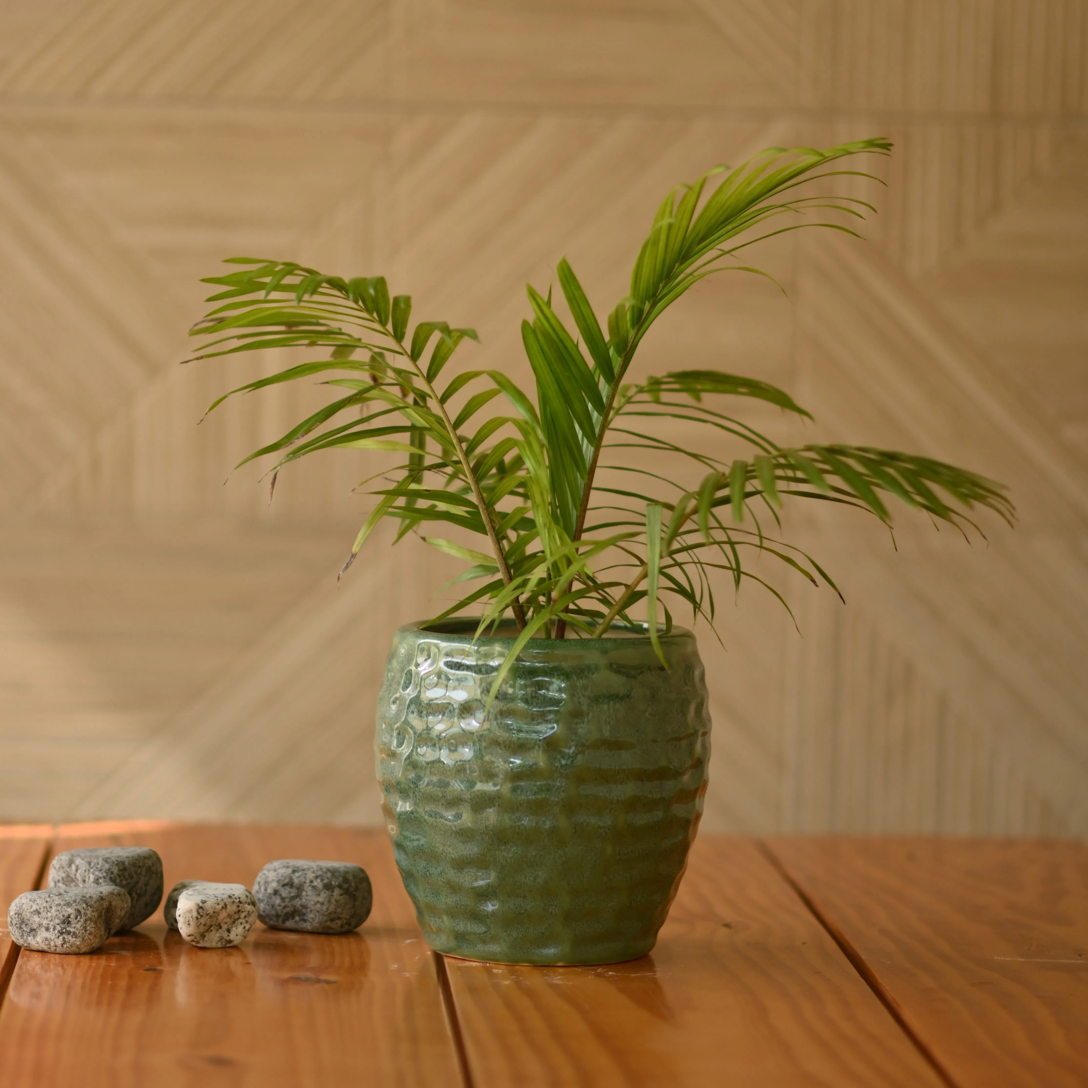 Ceramic Pineapple Pot/Planter