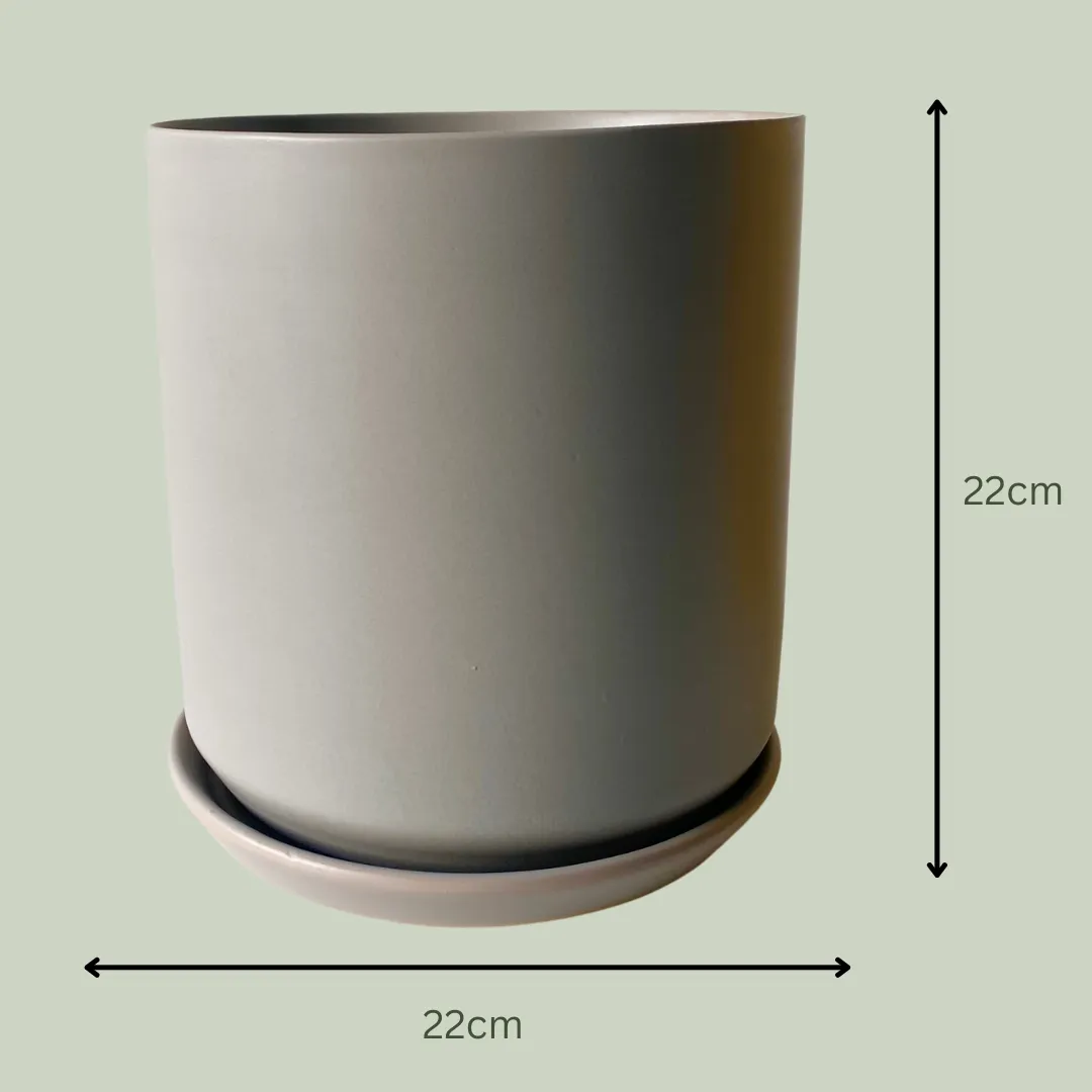 Ceramic Pot | Grey | 22cm