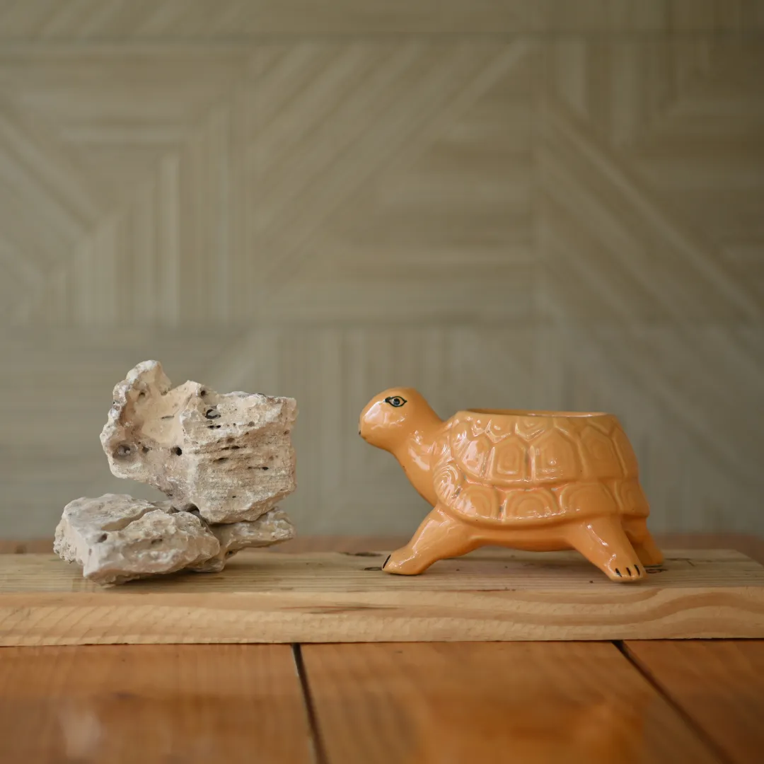 Ceramic Standing Tortoise Pot