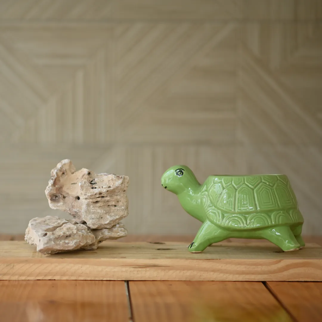 Ceramic Standing Tortoise Pot