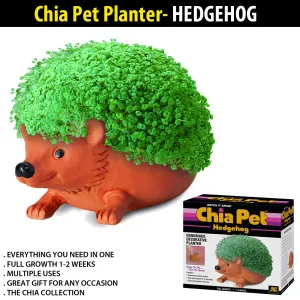 Chia Pet Planter - Hedgehog