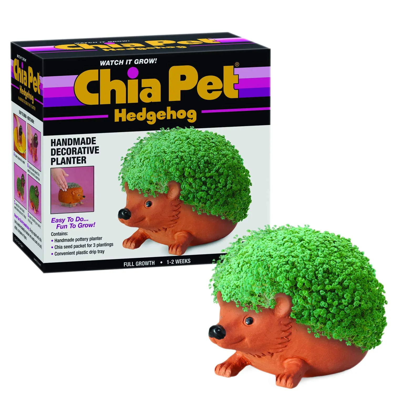 Chia Pet Planter - Hedgehog