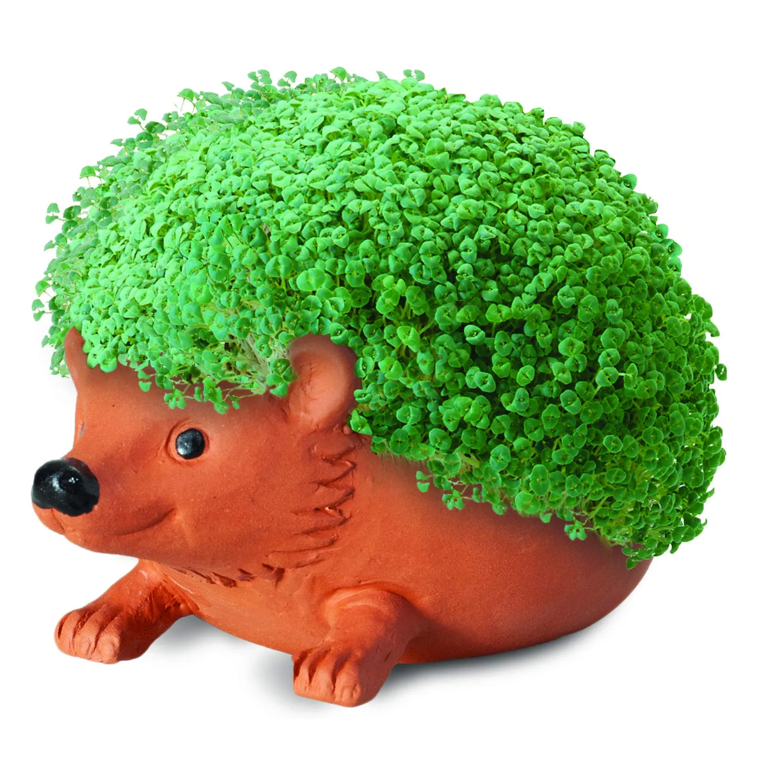 Chia Pet Planter - Hedgehog