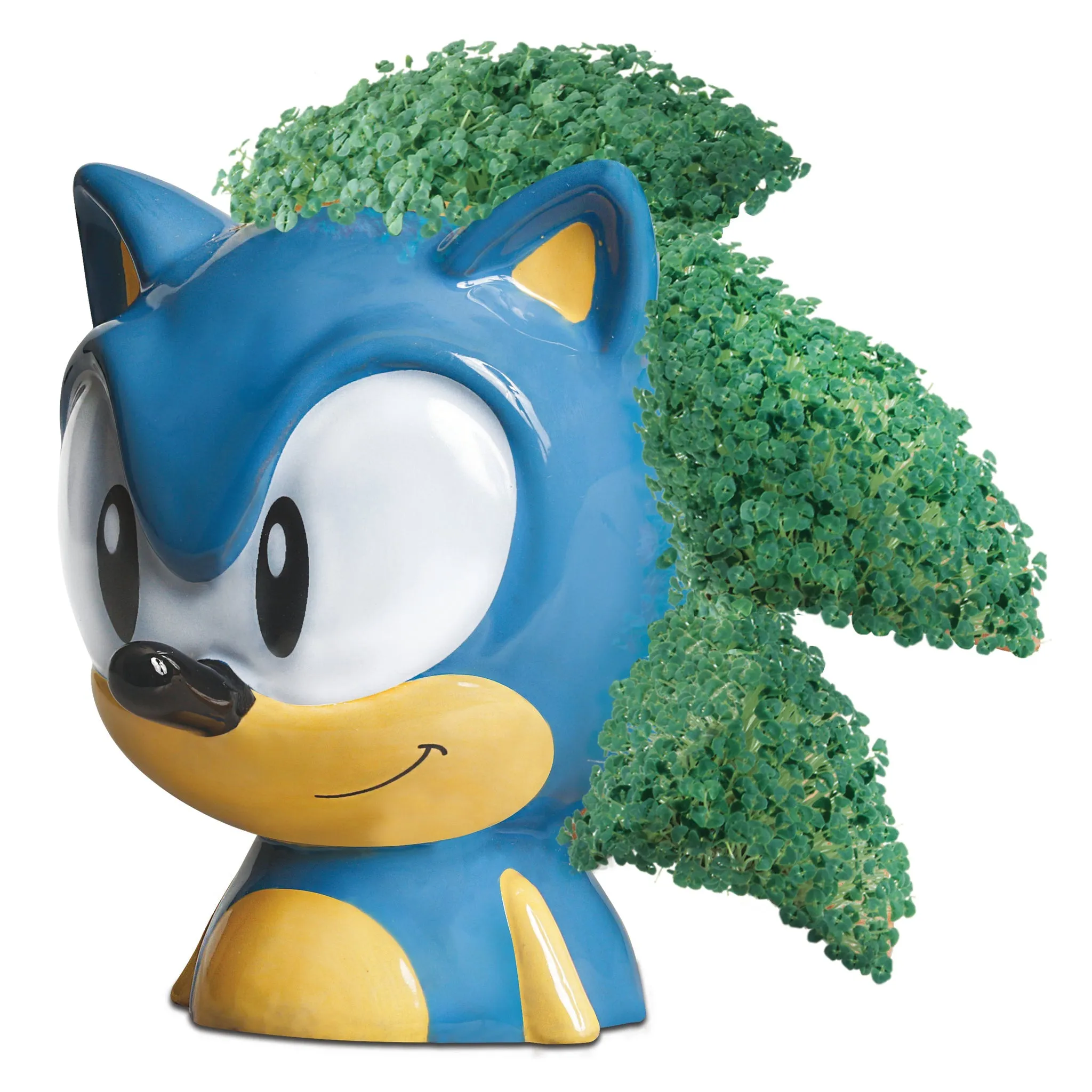 Chia Pet Planter - Sonic the Hedgehog