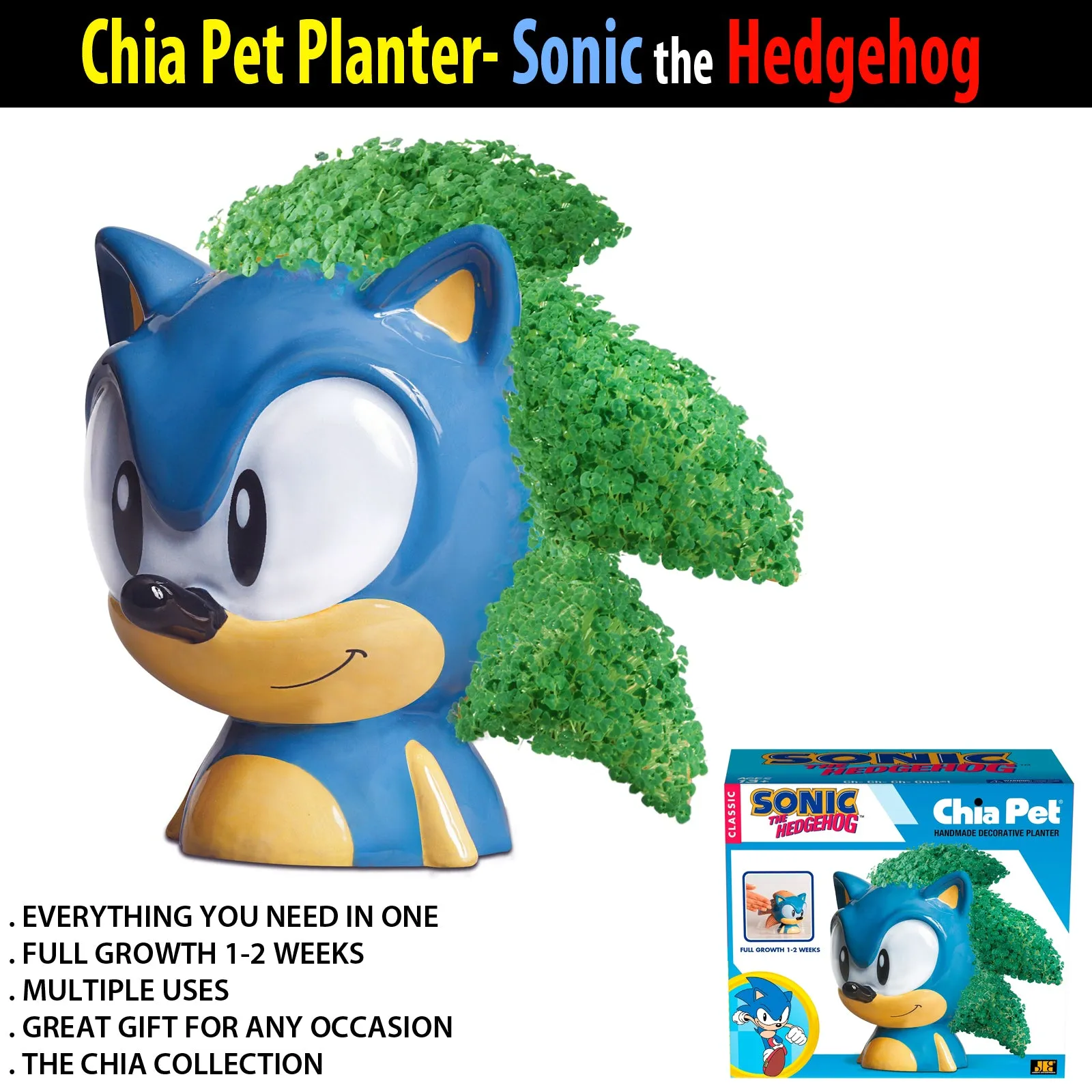 Chia Pet Planter - Sonic the Hedgehog