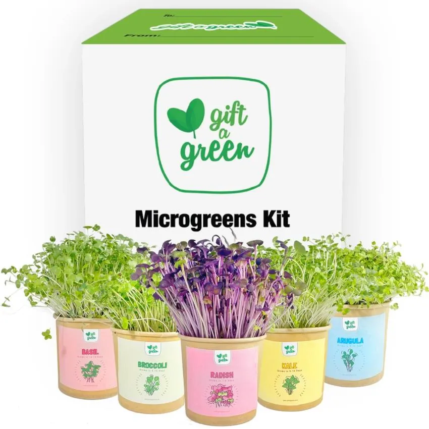 Gift-a-Green Microgreen Gift Box - All Occasion