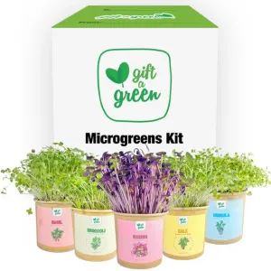 Gift-a-Green Microgreen Gift Box - All Occasion