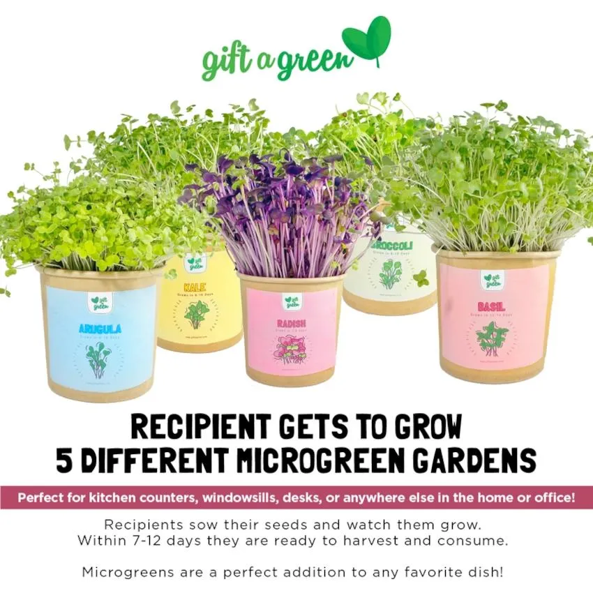 Gift-a-Green Microgreen Gift Box - All Occasion