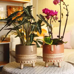 Human face ceramic flower pot