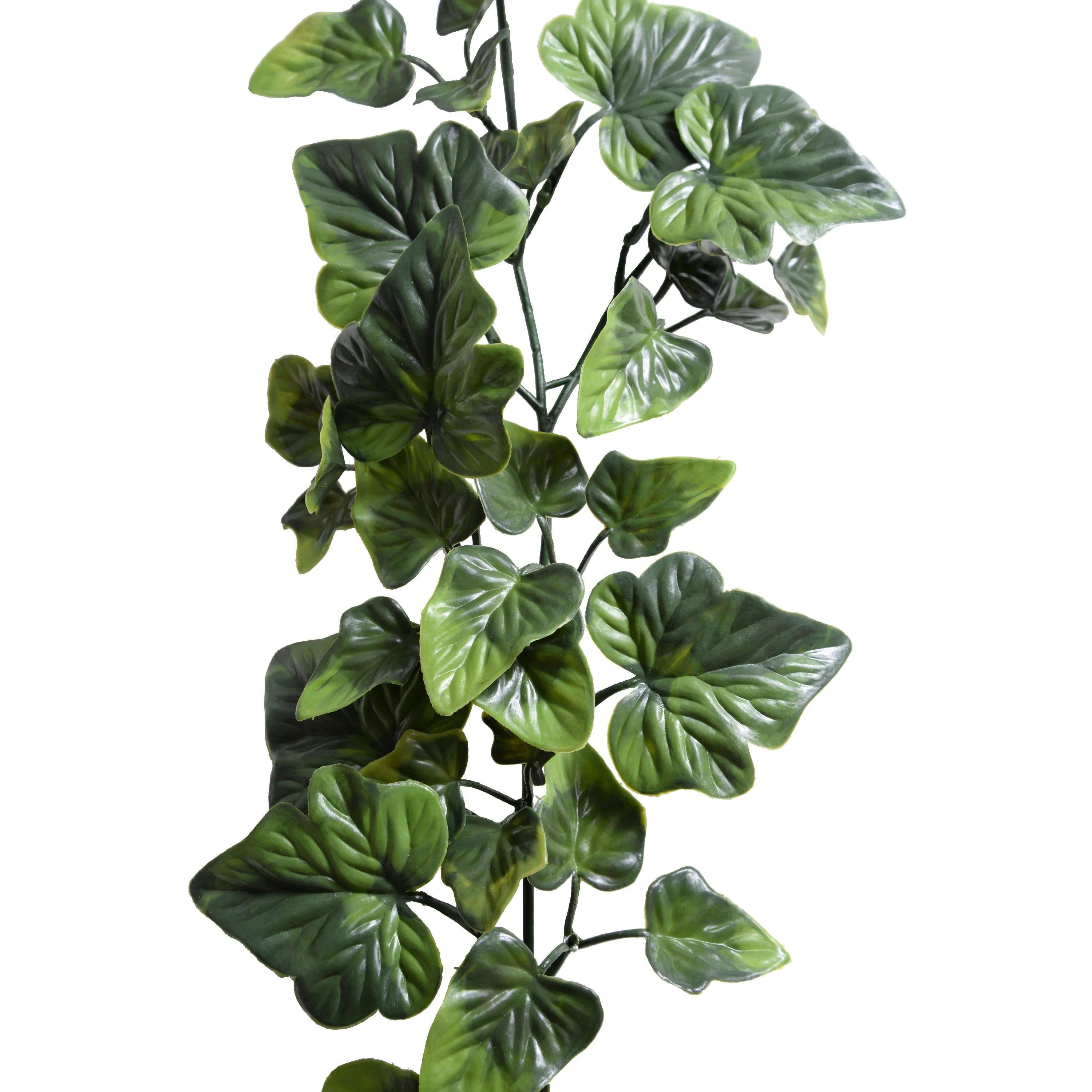 Ivy Vine 6' - Green