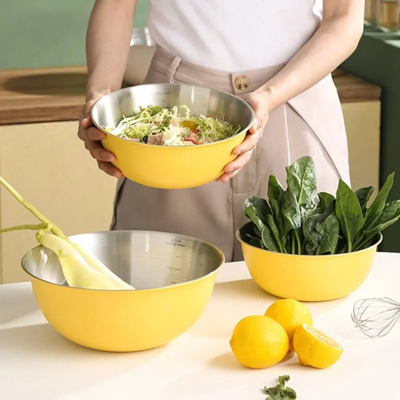 Japanese Stainless Steel Salad Bowls with Scale