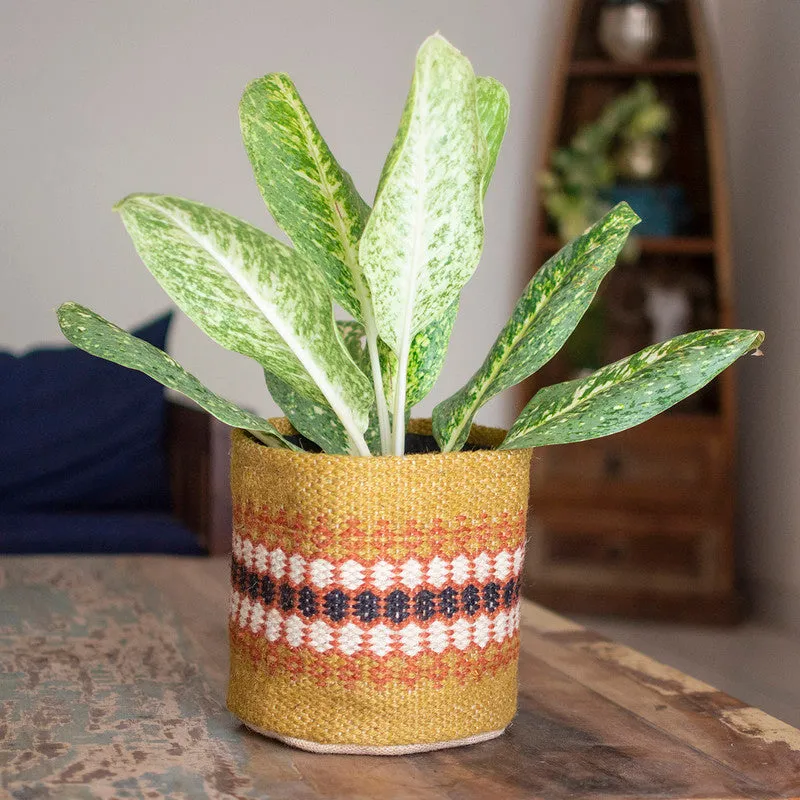 Jute Handwoven Basket | Medium | Yellow Ochre