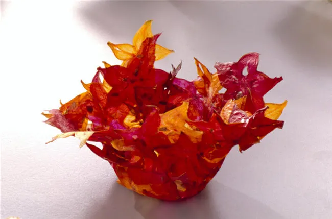 Margaret Dorfman, Vegetable & Fruit Parchment Bowls