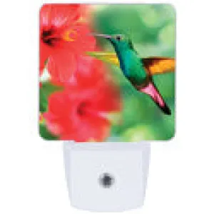 Nightlight - Hummingbird