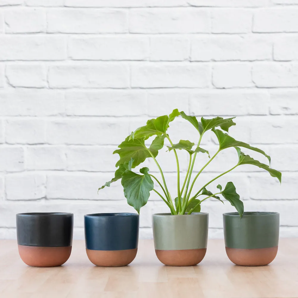 Pluto Planter - Sage Green