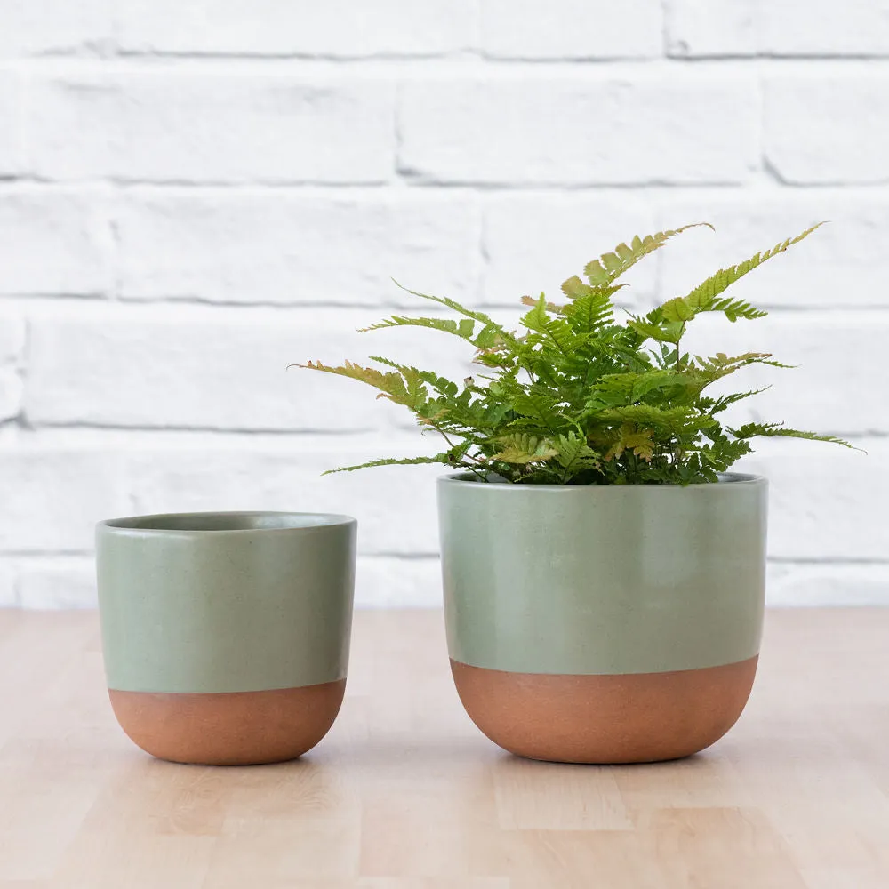 Pluto Planter - Sage Green