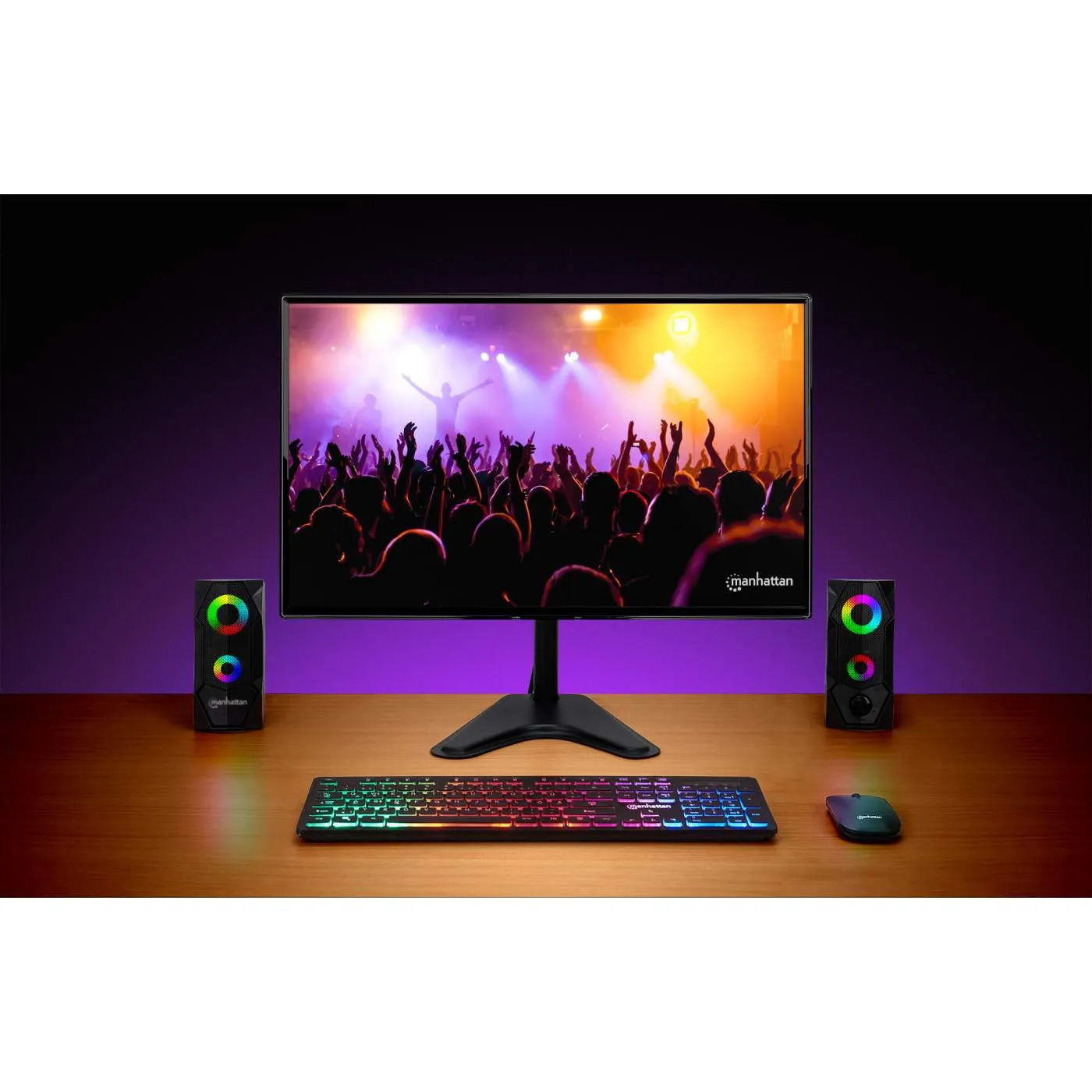 RGB LED Desktop Stereo Computer Speakers