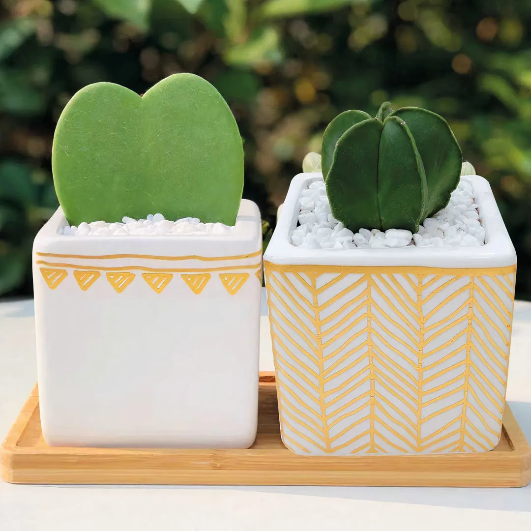 Rhapsody Planters Set of 2