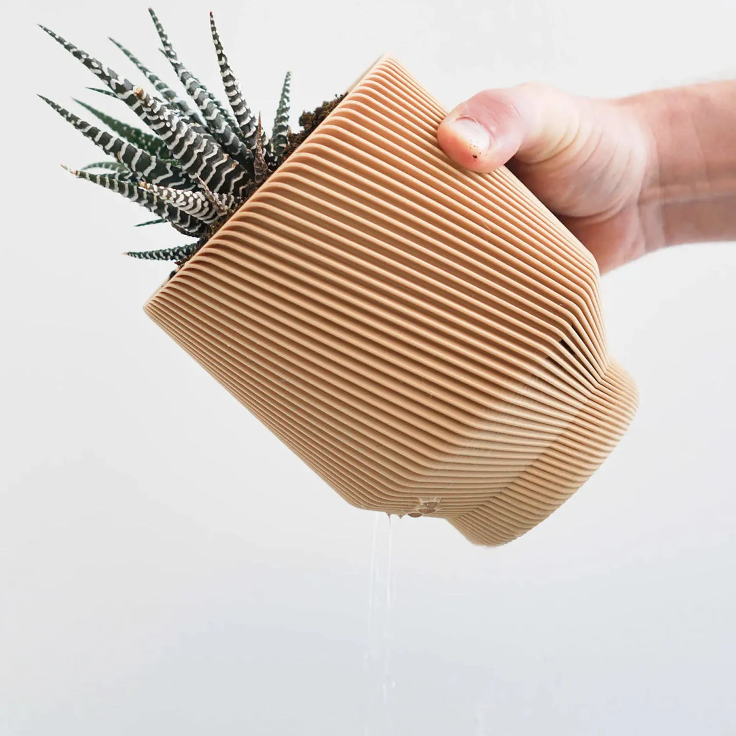 Spruce Planter- 3"