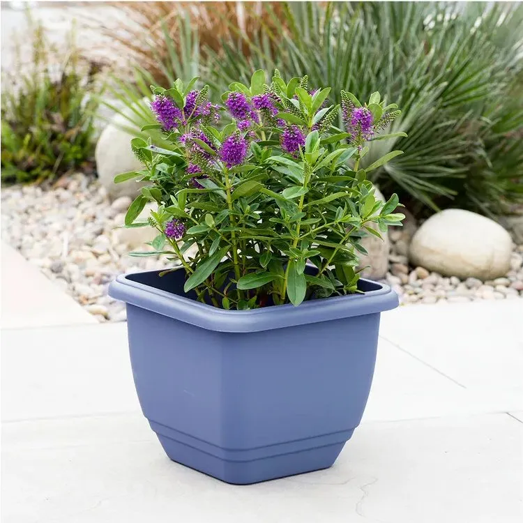 Stewarts 30cm Cornflower Blue Square Patio Planter