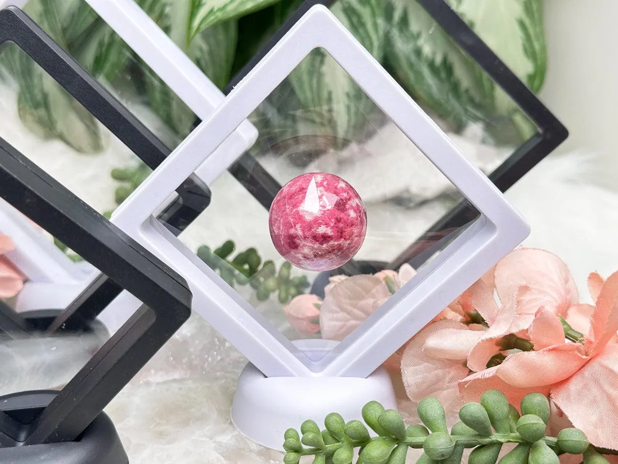 Stretch Plastic Frame Crystal Case