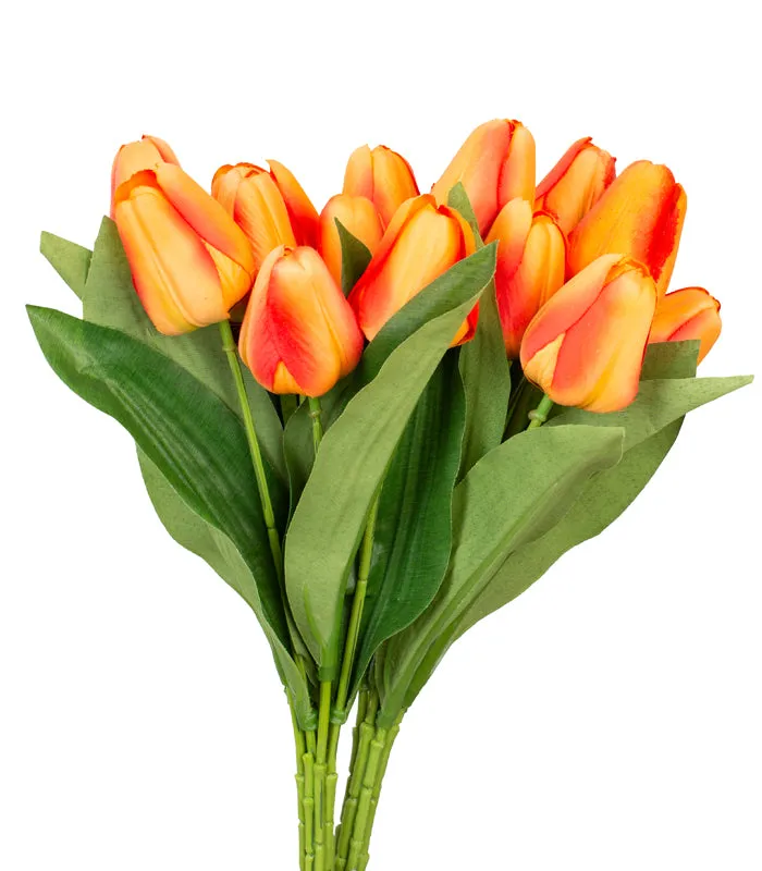 Tulip Bunch -Orange- Set of 2