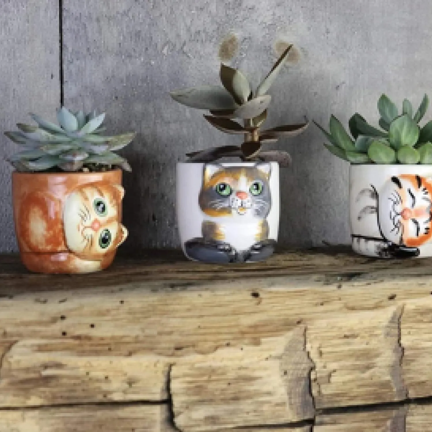 Window Garden Cute Cat Planter Pots 6 Mini Succulent Kitty Pots Cat Decor Vase